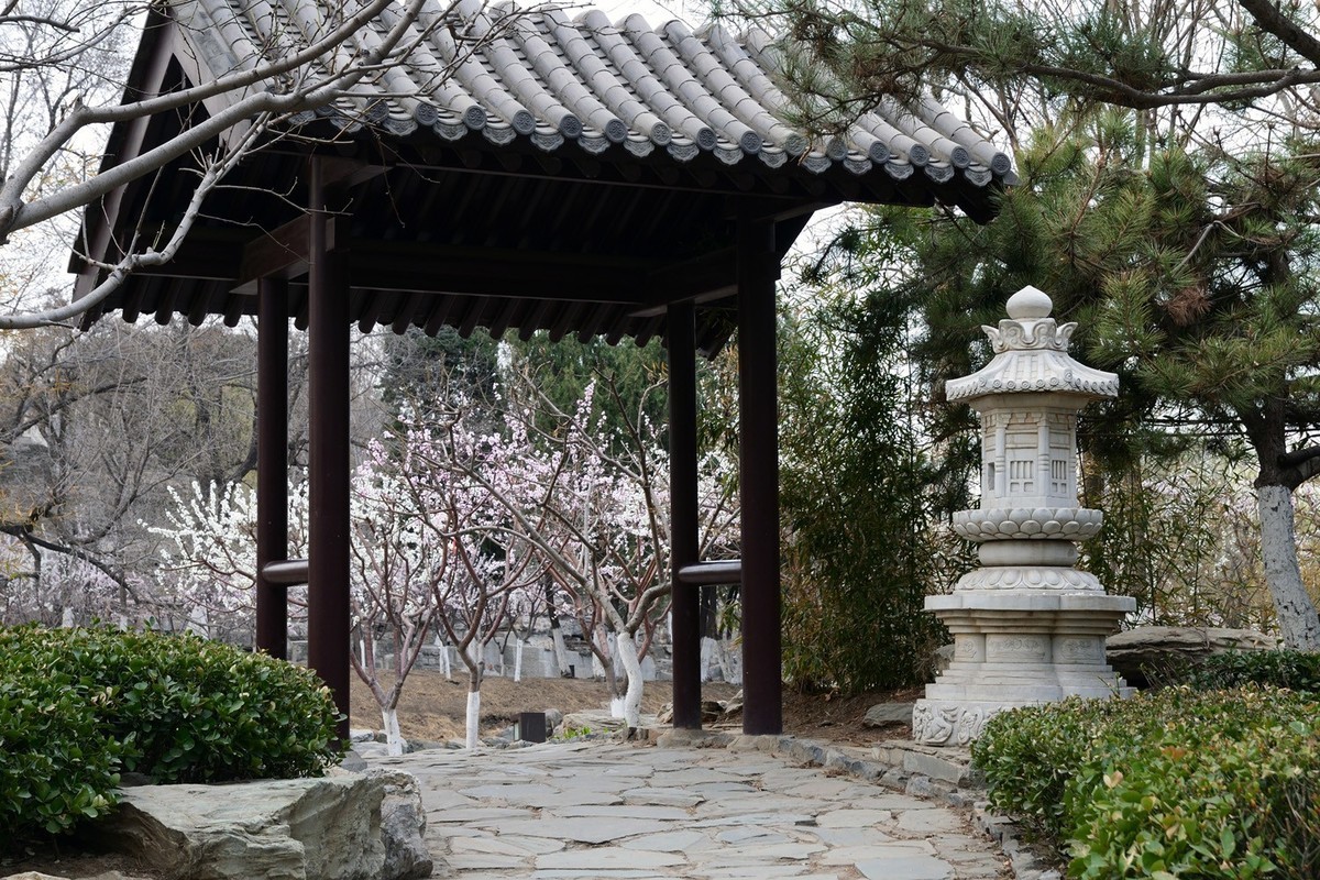 宁园随拍__20230313