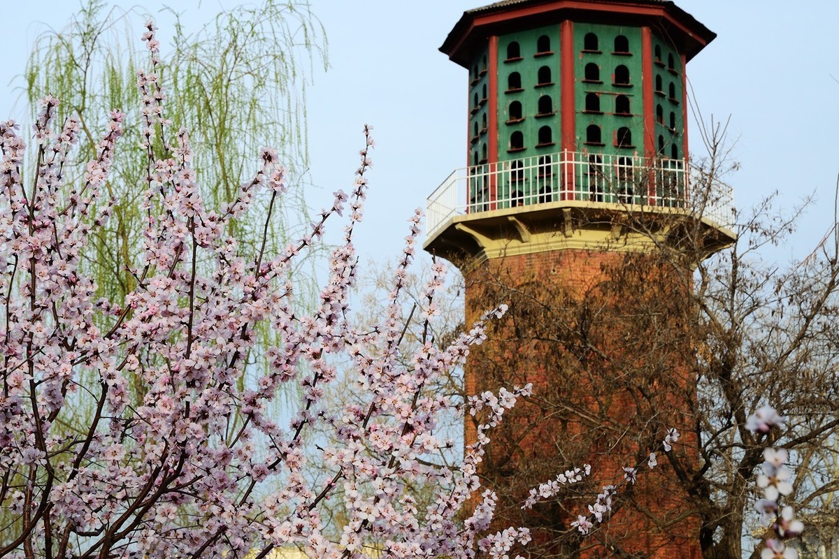 宁园随拍__20230313