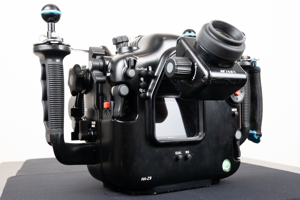 尼康Z9在澳大利亚的水下摄影使用的潜水壳和拍摄的照片（转帖）