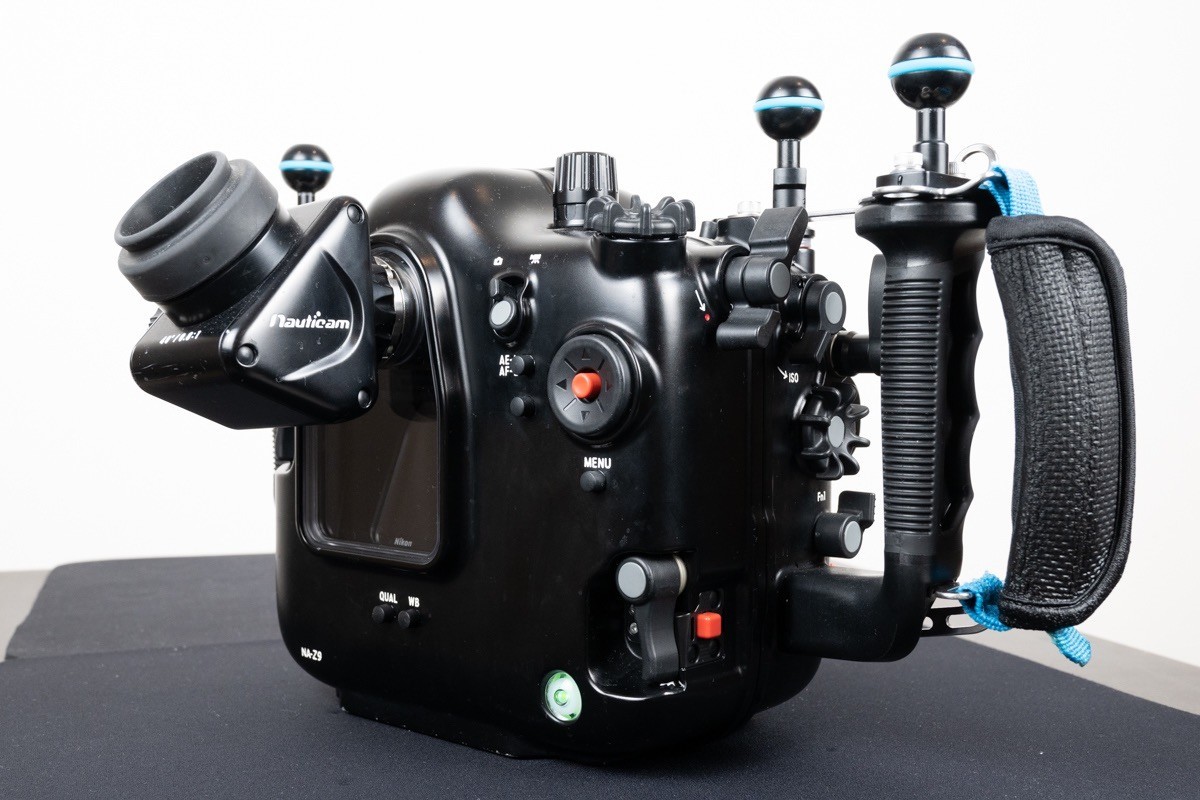 尼康Z9在澳大利亚的水下摄影使用的潜水壳和拍摄的照片（转帖）