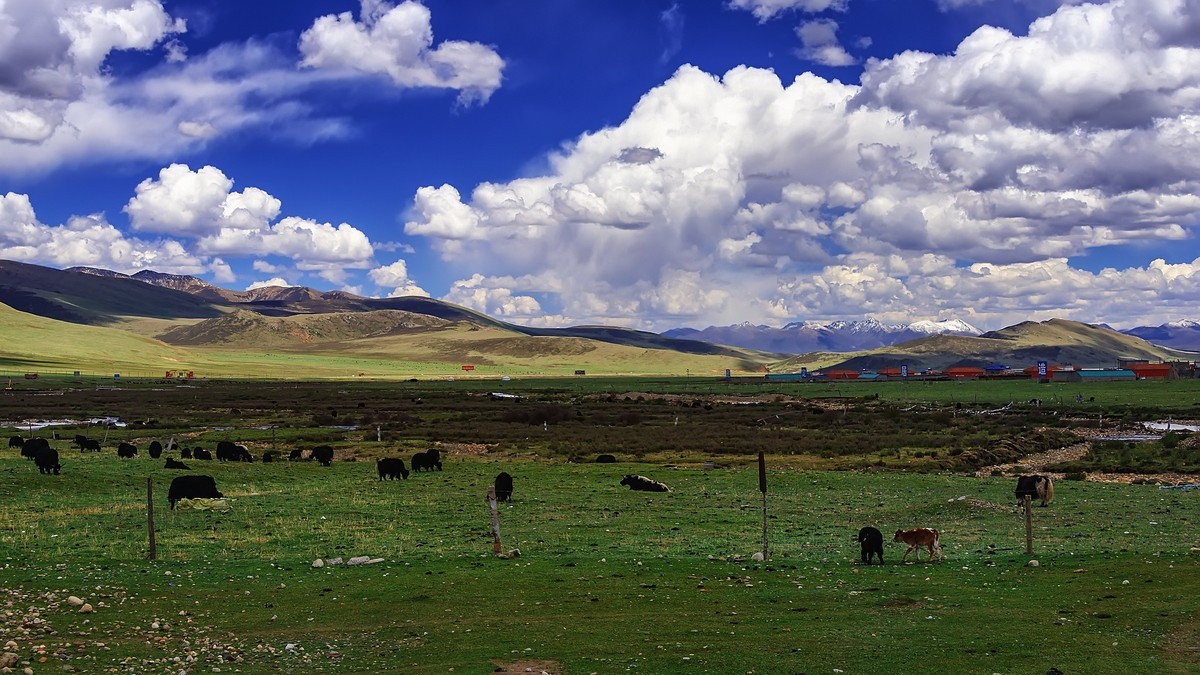 2019.06.进藏回顾 之 巴塘草原(2)