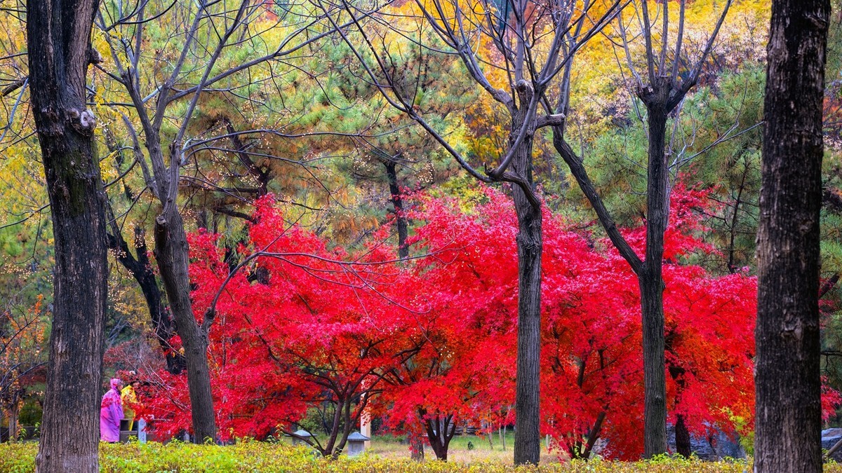 晋陕豫见闻——龙门秋色