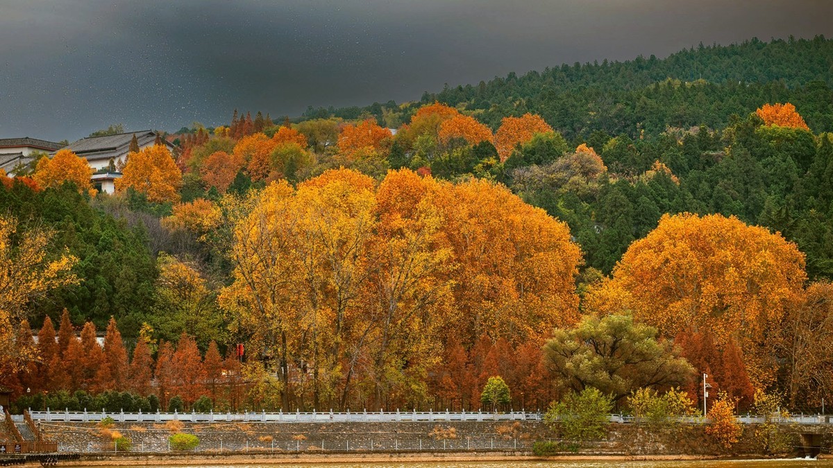 晋陕豫见闻——龙门秋色