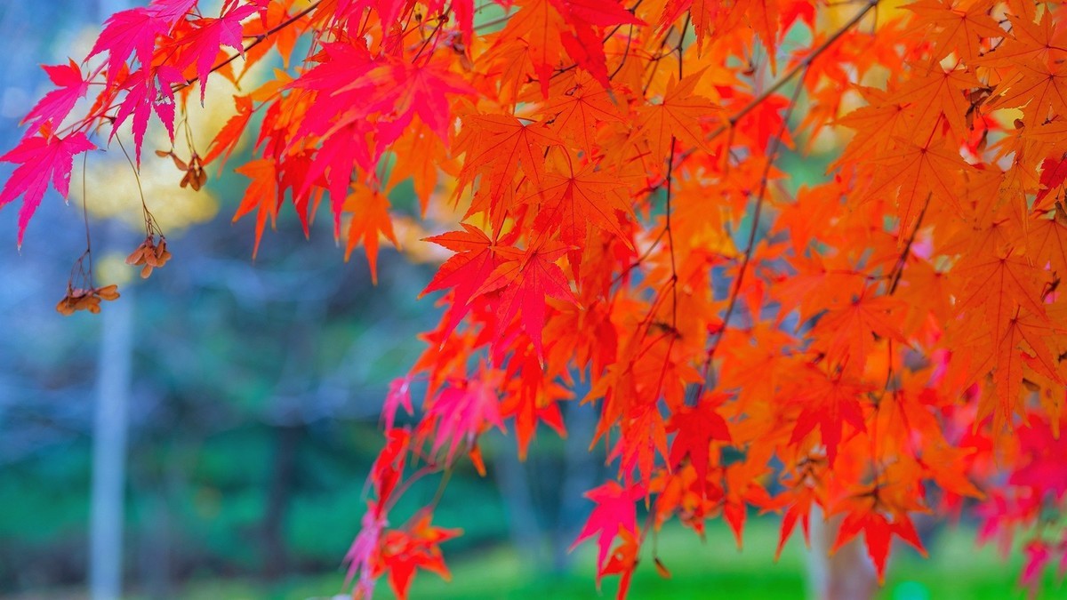 晋陕豫见闻——龙门秋色