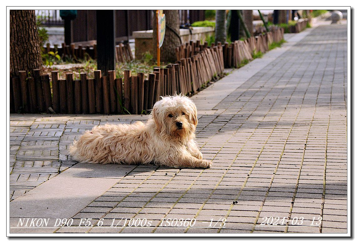 小城绍兴鲁迅外婆家小探