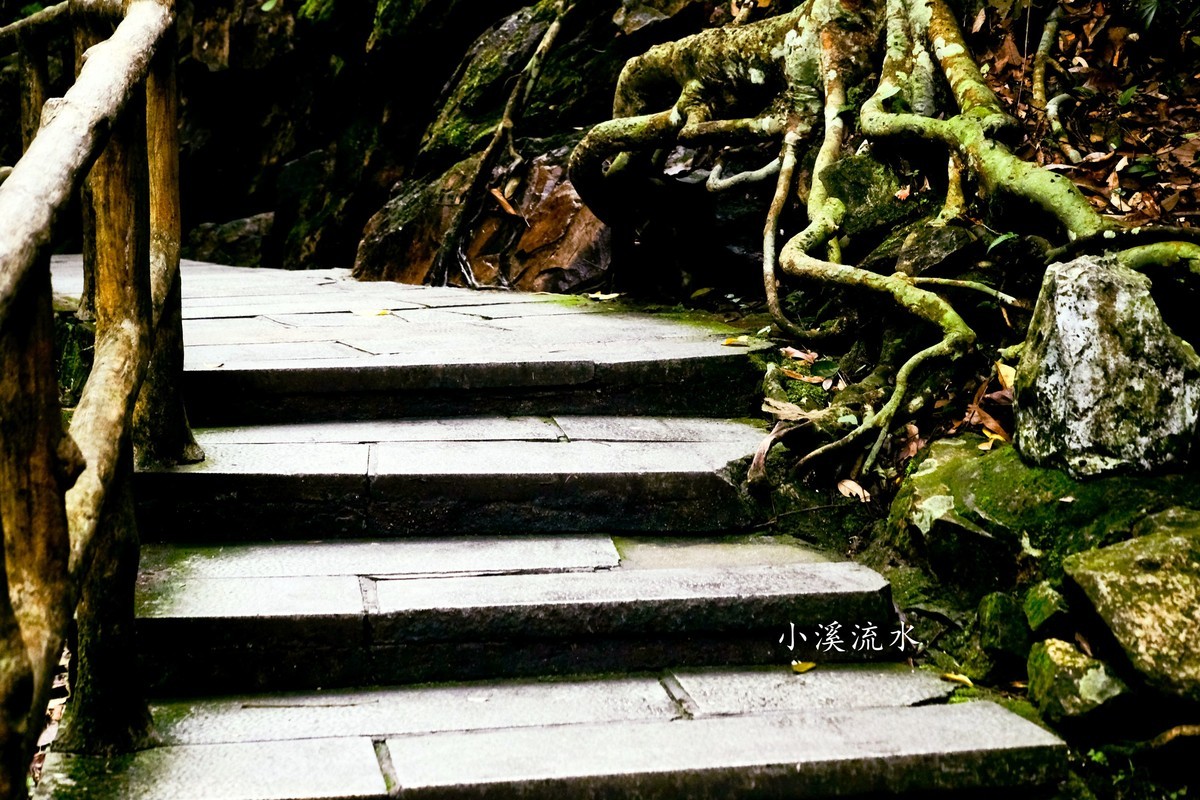 小溪流水随拍（三）