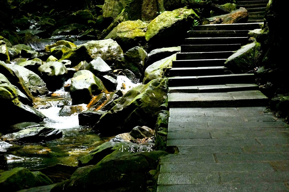 小溪流水随拍（三）