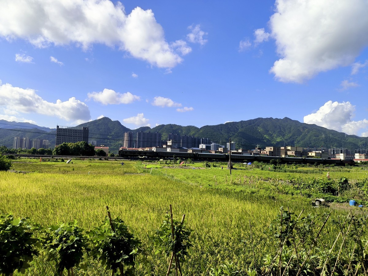 手机随拍红岭村