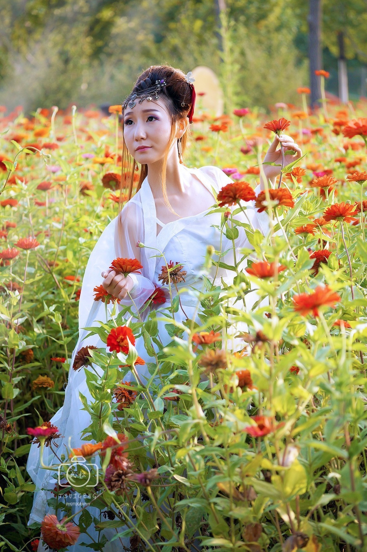 #版主坐堂#索尼大版星空(中国)2024年 9 月份优秀作品精选汇总