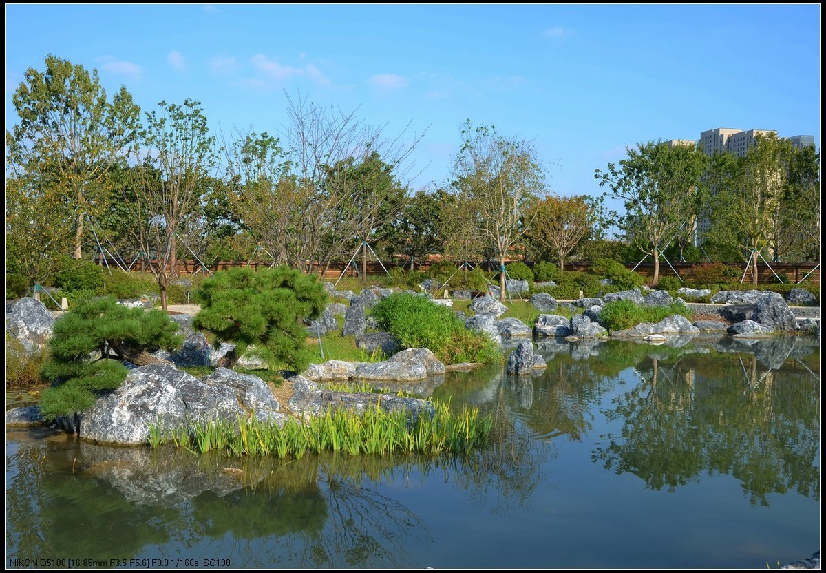 上海世界花艺园