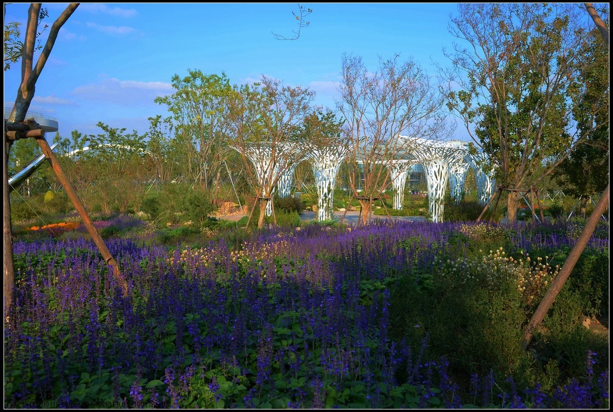 上海世界花艺园
