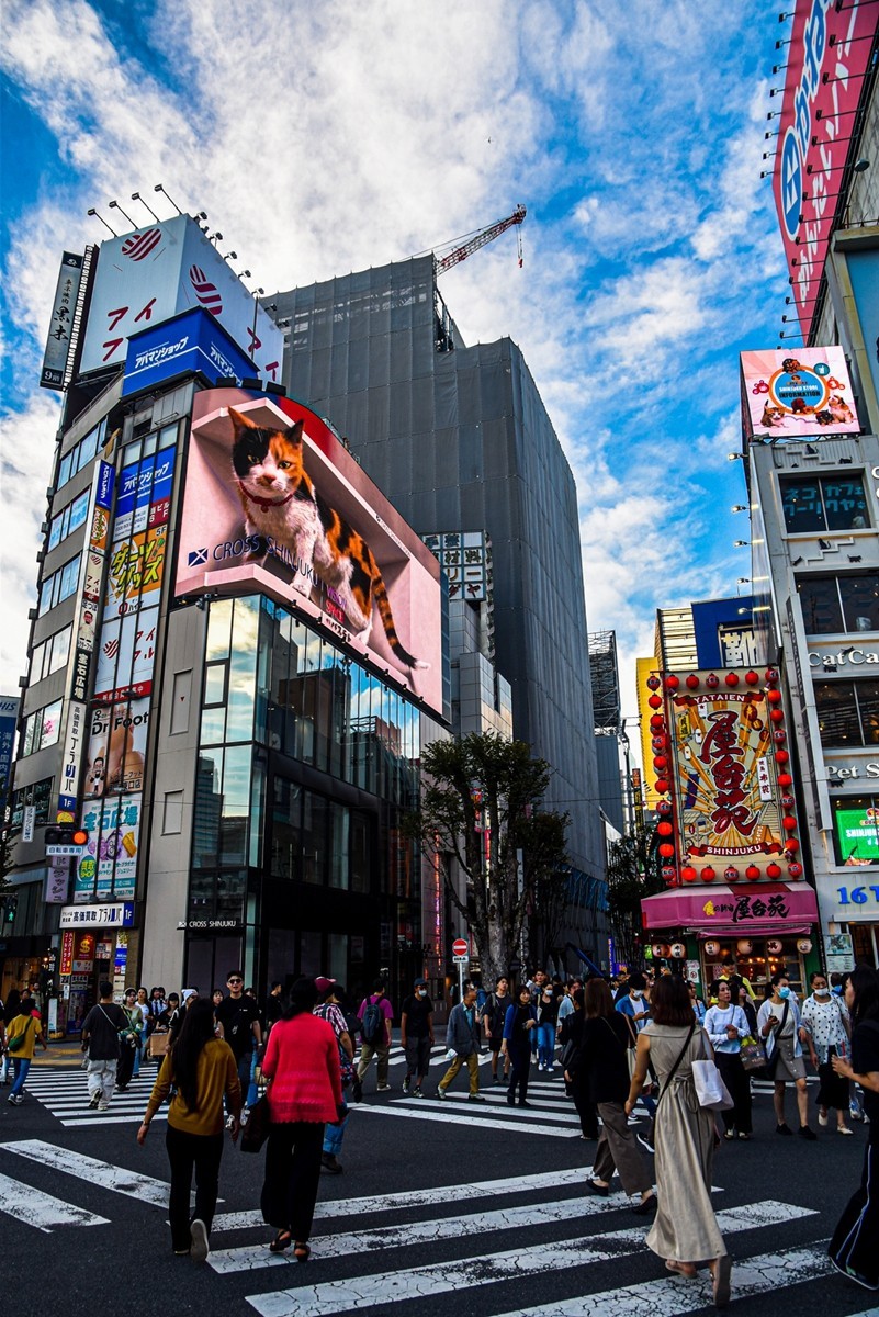 新宿街拍（日本）