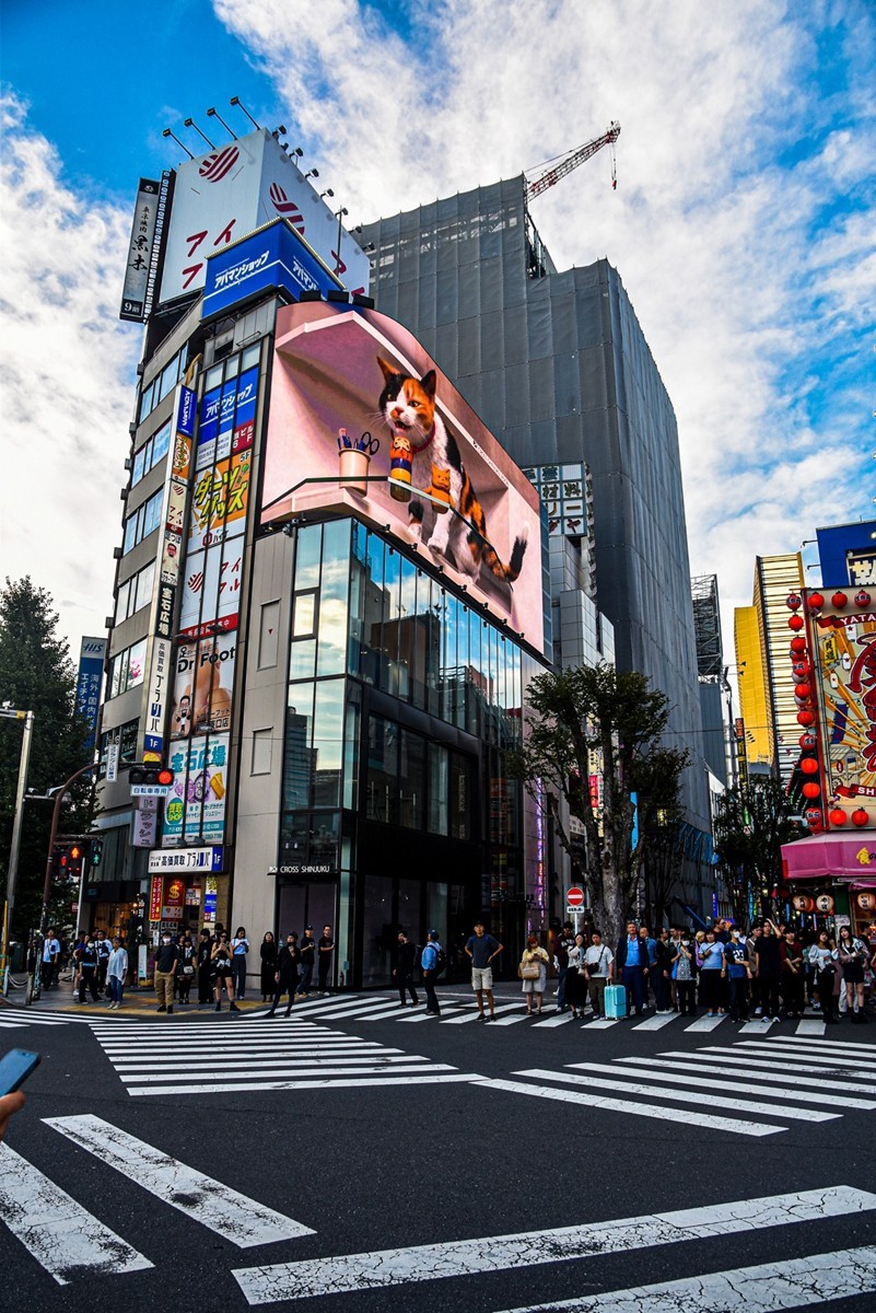 新宿街拍（日本）
