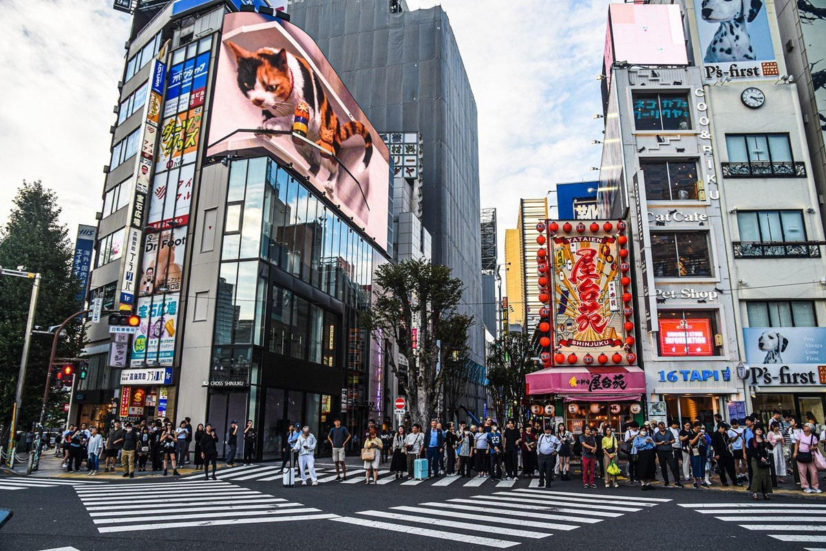 新宿街拍（日本）