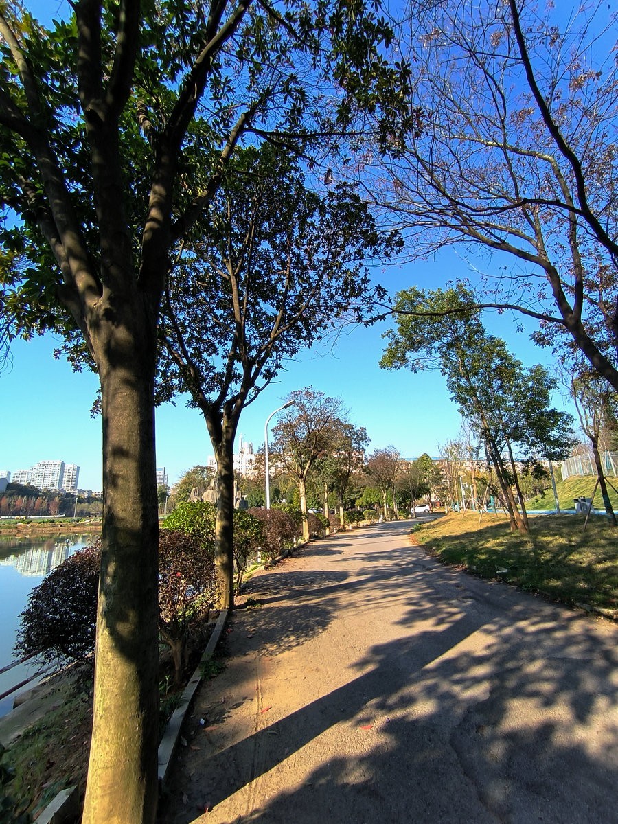 漫步星城 走街串巷（587）农大逸苑湖