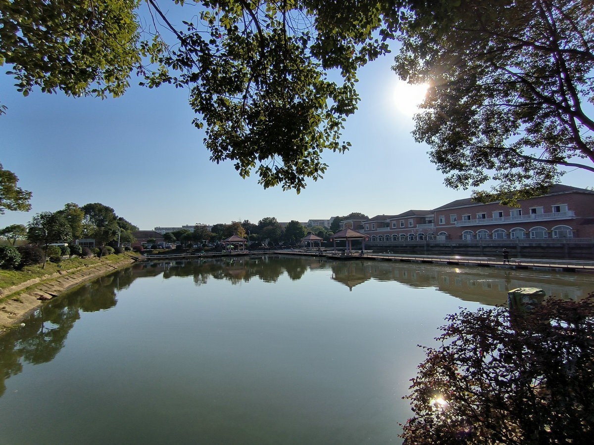 漫步星城 走街串巷（587）农大逸苑湖