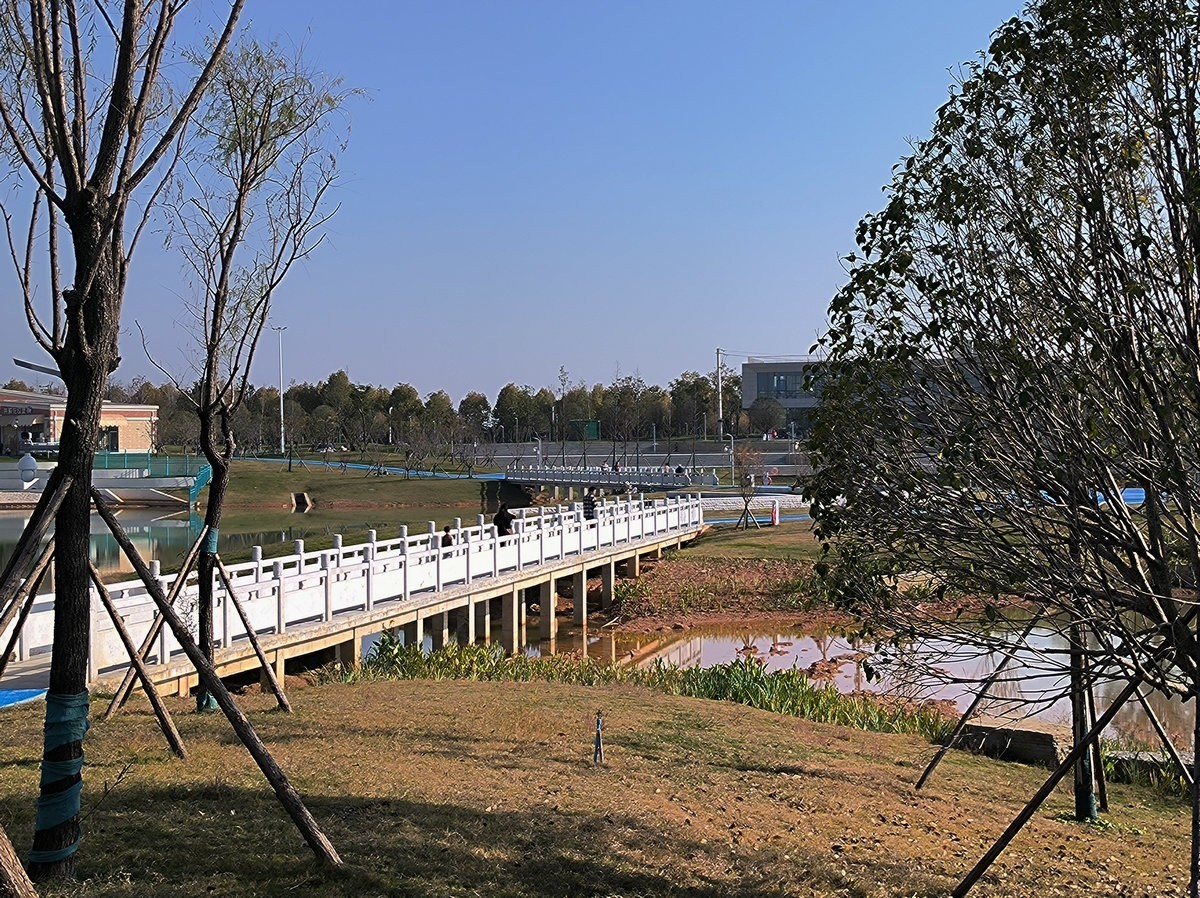 漫步星城 走街串巷（587）农大逸苑湖