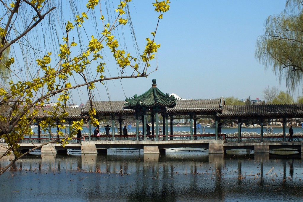 春天的龙潭湖（北京）