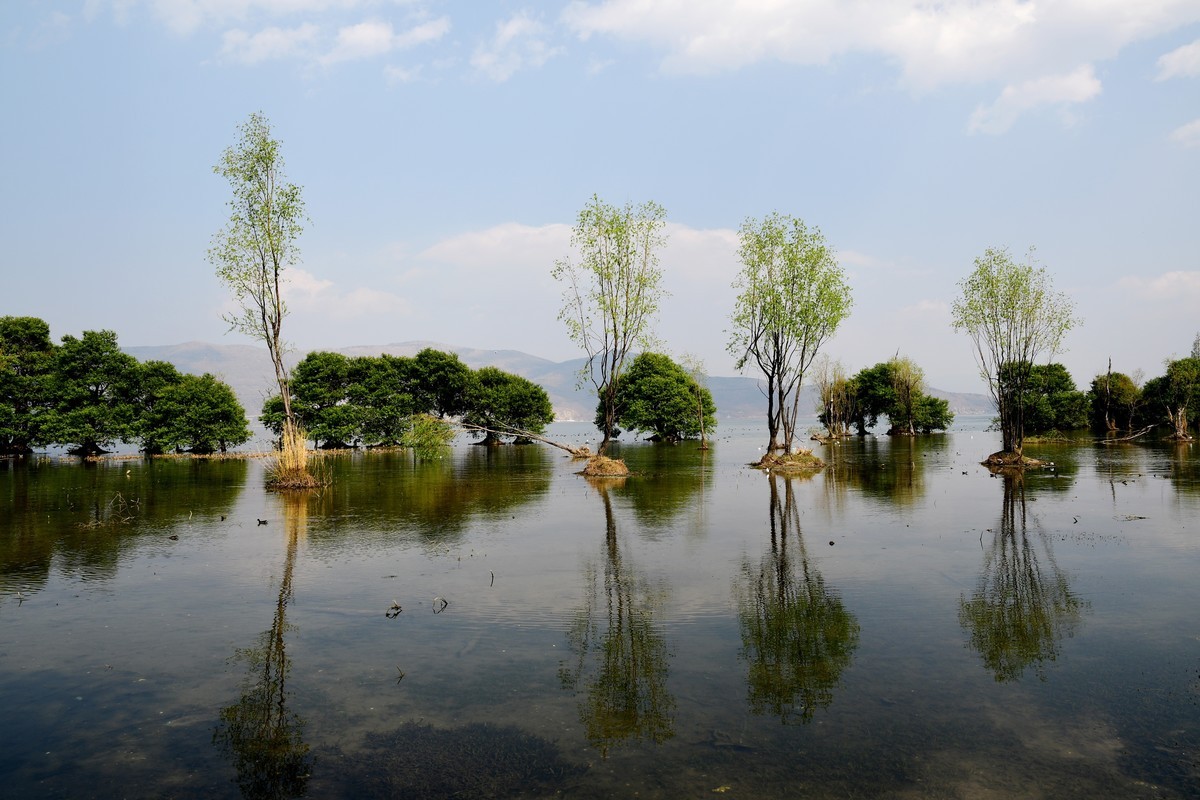 云南 上海游之九 —— 洱海风光掠影（2）