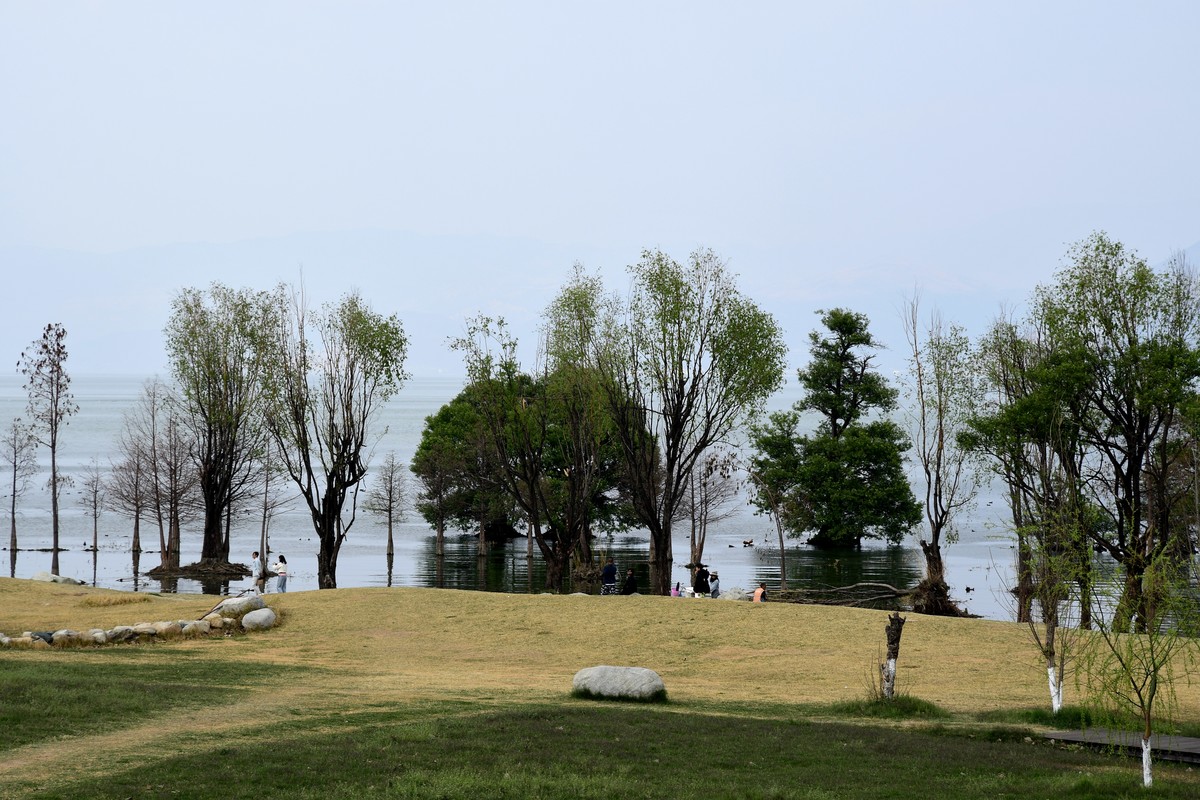 云南 上海游之九 —— 洱海风光掠影（2）