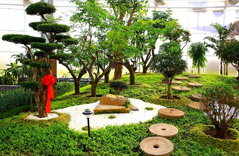 《不老松：纪实摄影》沧州印象.大运河农业生态文化产业示范区！发奨会！