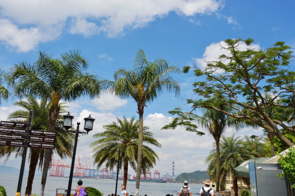 一组D4S 24-120 F4 /35 1.4美丽厦门鼓浪屿随拍