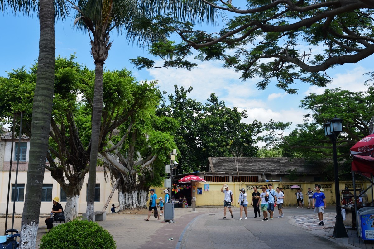 一组D4S 24-120 F4 /35 1.4美丽厦门鼓浪屿随拍