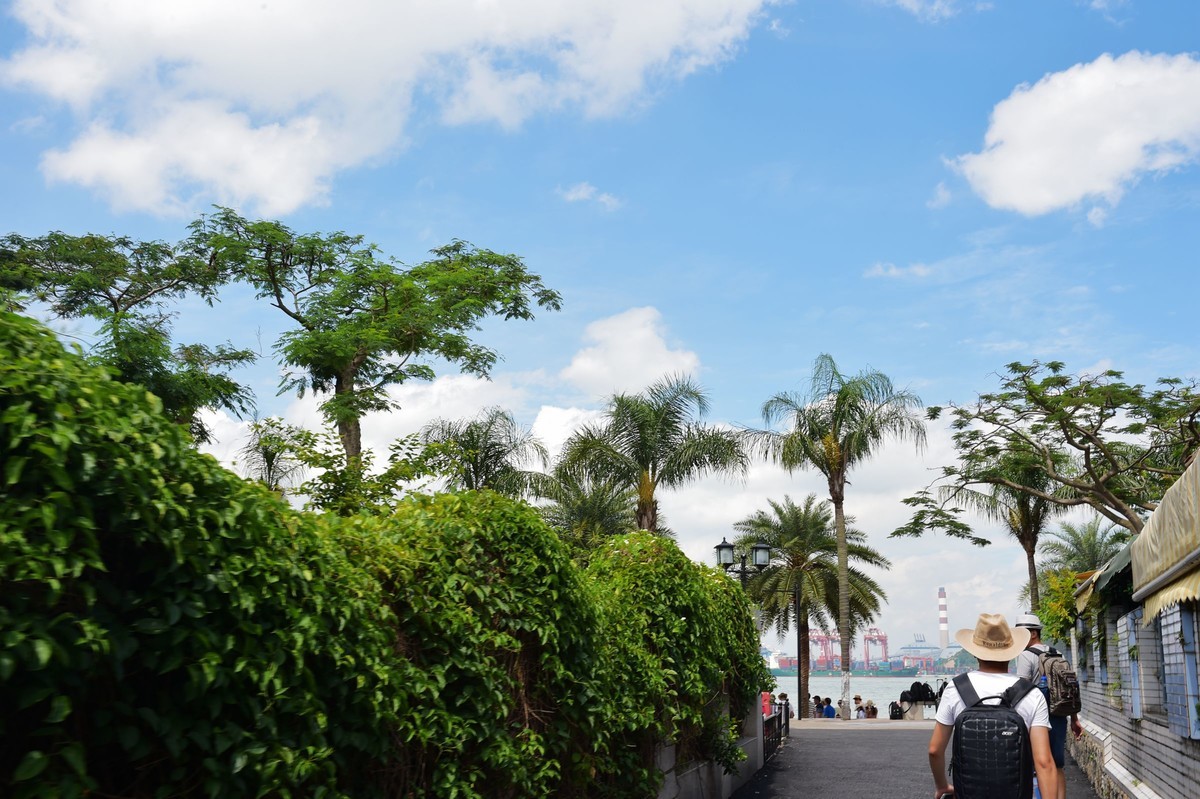 一组D4S 24-120 F4 /35 1.4美丽厦门鼓浪屿随拍