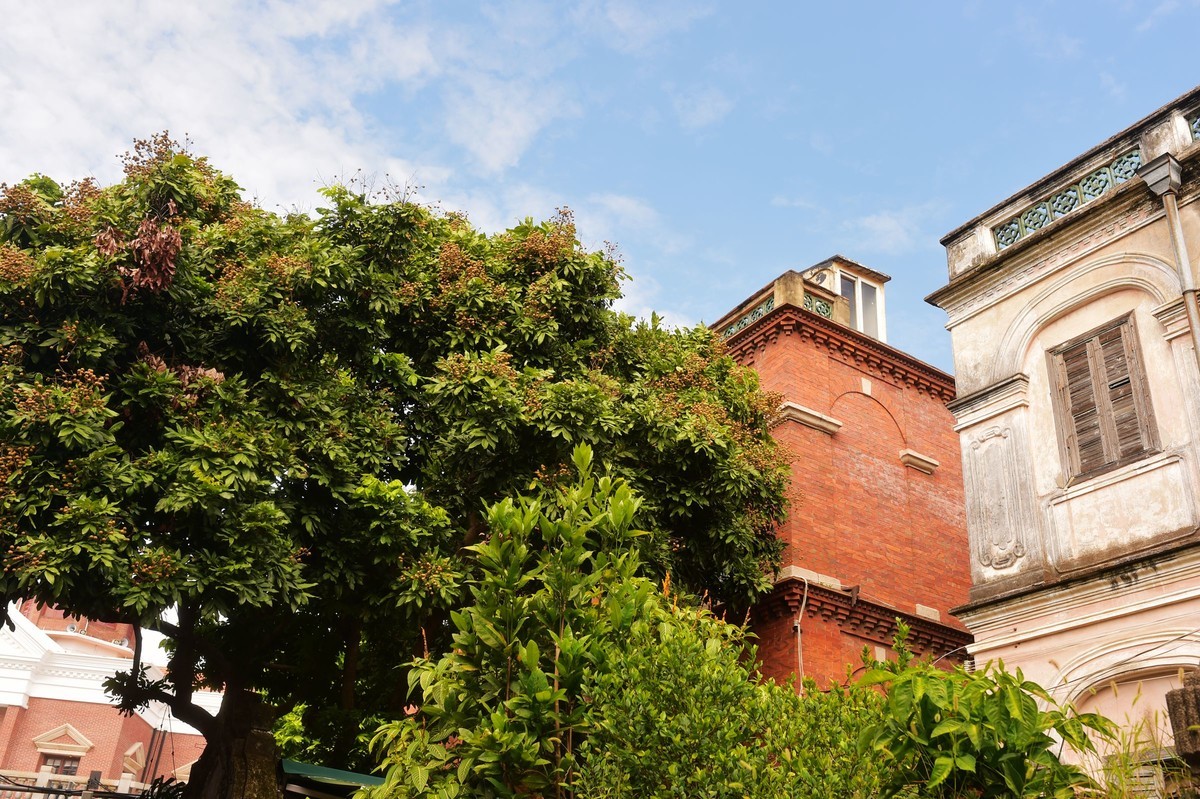 一组D4S 24-120 F4 /35 1.4美丽厦门鼓浪屿随拍