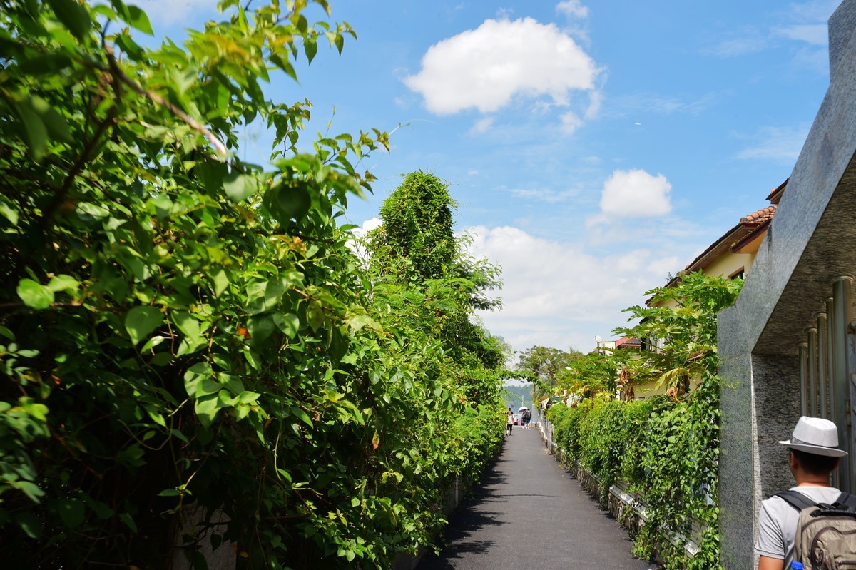 一组D4S 24-120 F4 /35 1.4美丽厦门鼓浪屿随拍