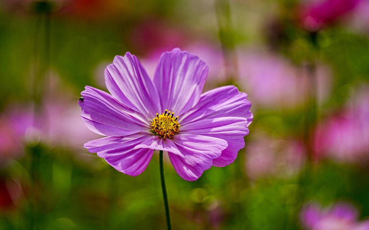 秋游奥森公园20231005 《40》