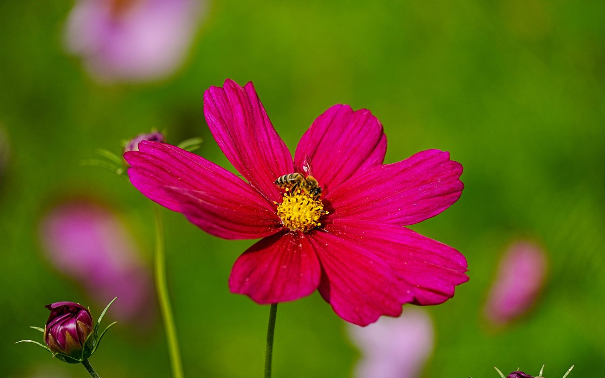 秋游奥森公园20231005 《40》