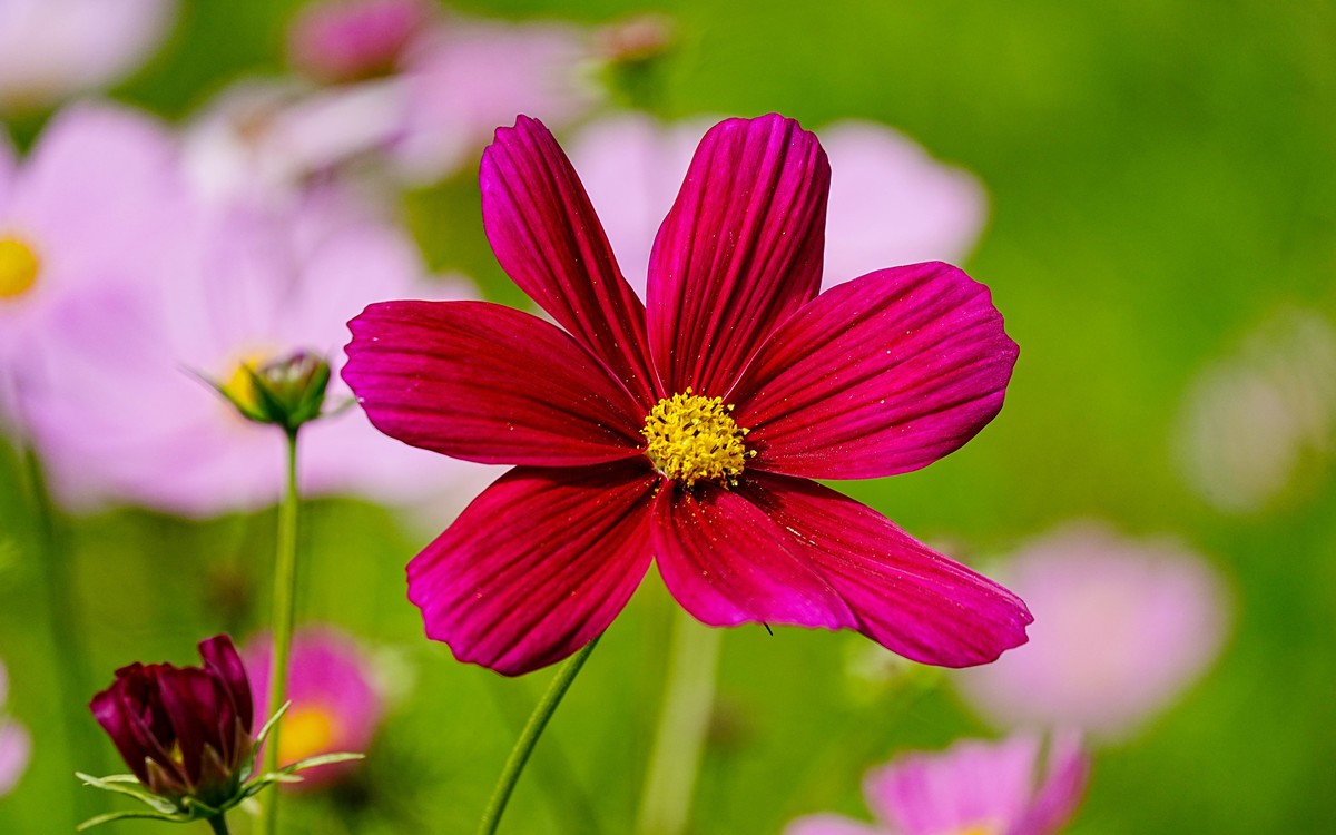 秋游奥森公园20231005 《40》