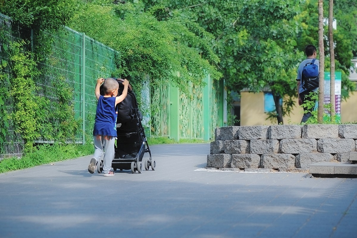 父与子的游园身影