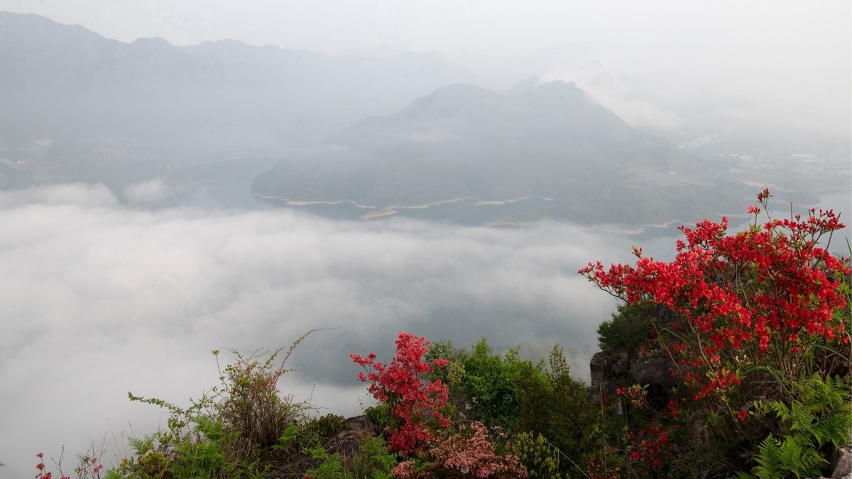 尼康D850+24-70风景--山花烂漫时