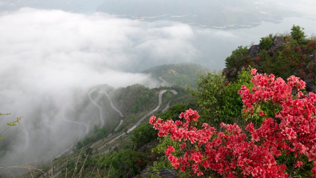 尼康D850+24-70风景--山花烂漫时