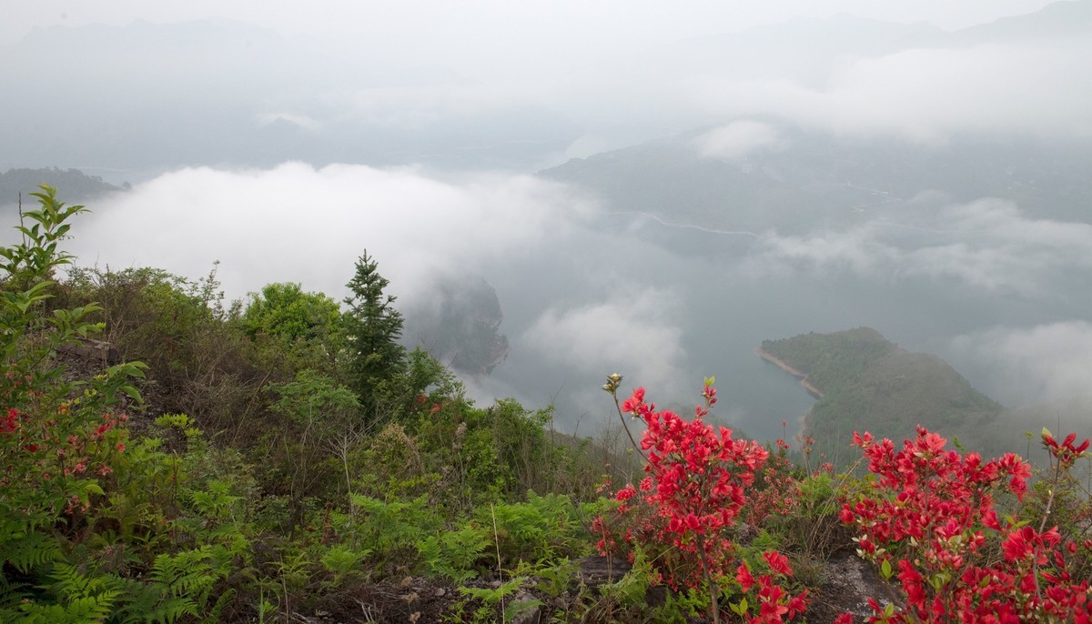 尼康D850+24-70风景--山花烂漫时