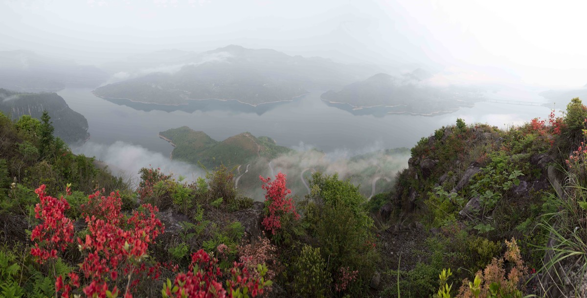 尼康D850+24-70风景--山花烂漫时