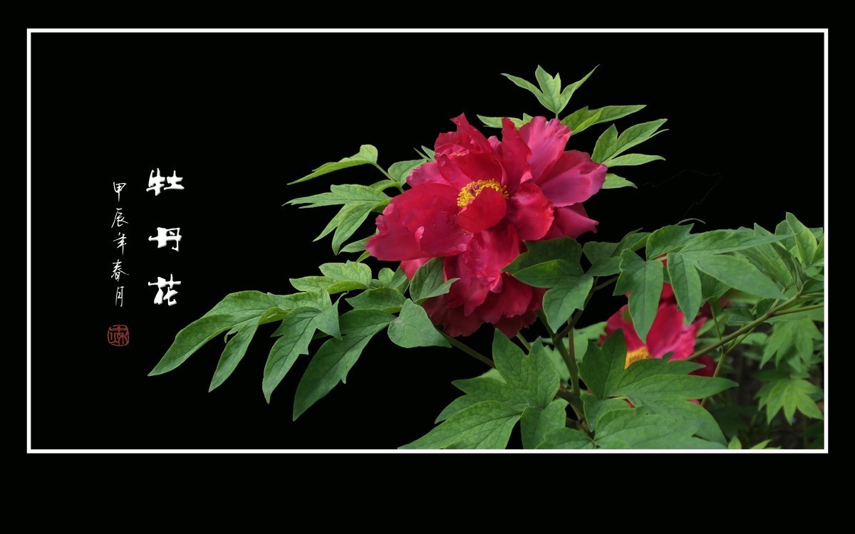 九月精华  小五星空(中国)祝祖国繁荣富强！