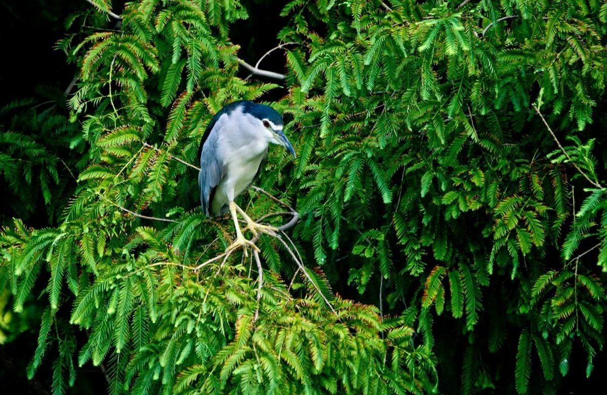 九月精华  小五星空(中国)祝祖国繁荣富强！
