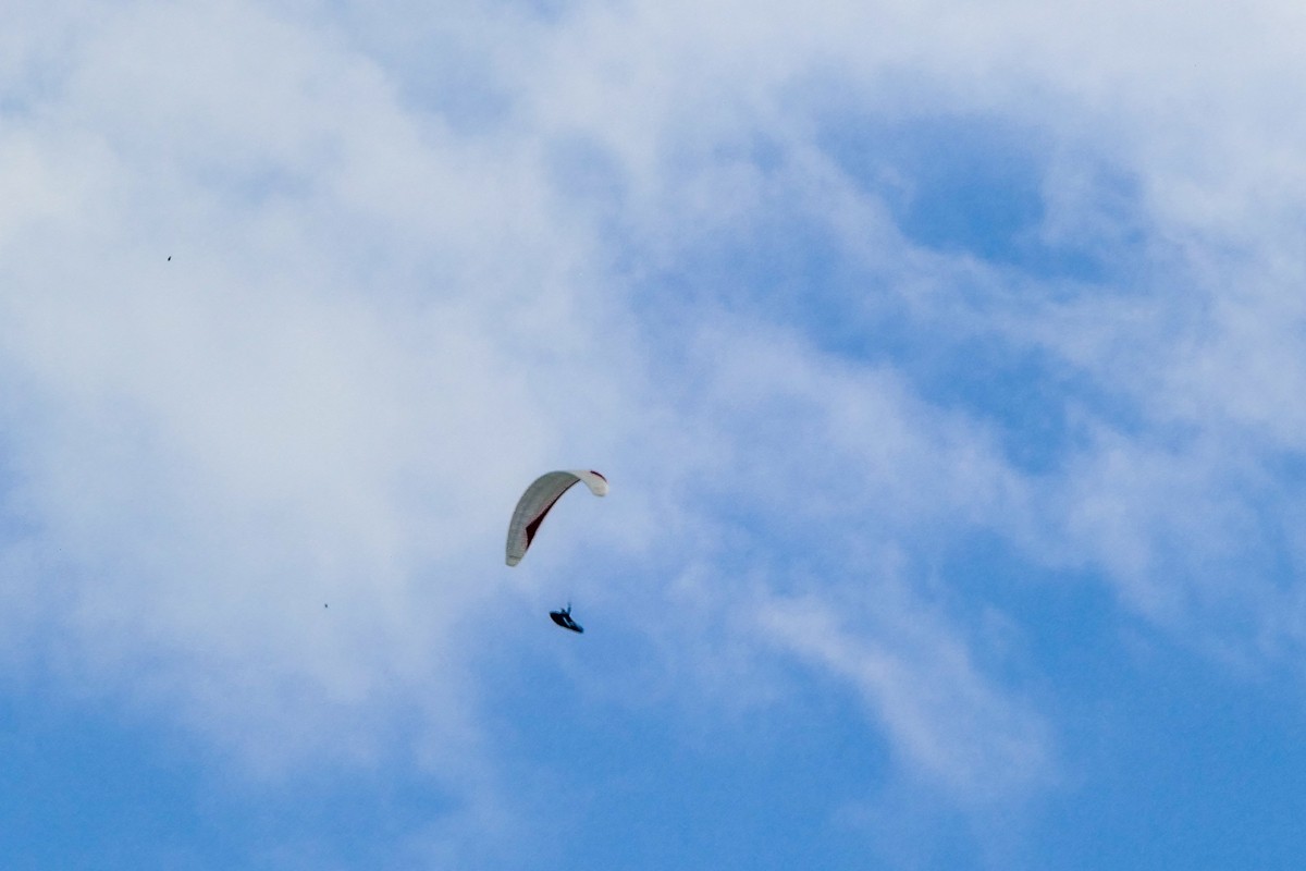 南德民间航空节