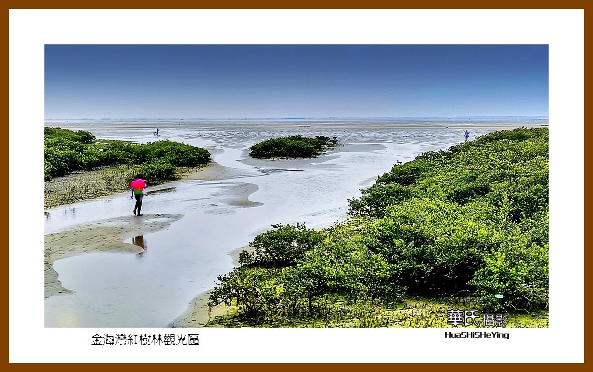 2021南行慢游（广西158）—金海湾红树林观光区（北海市）