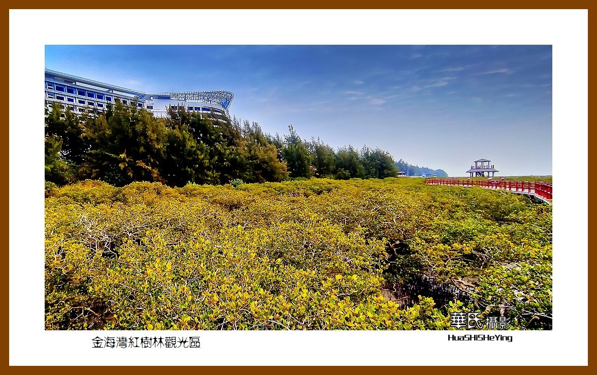 2021南行慢游（广西158）—金海湾红树林观光区（北海市）