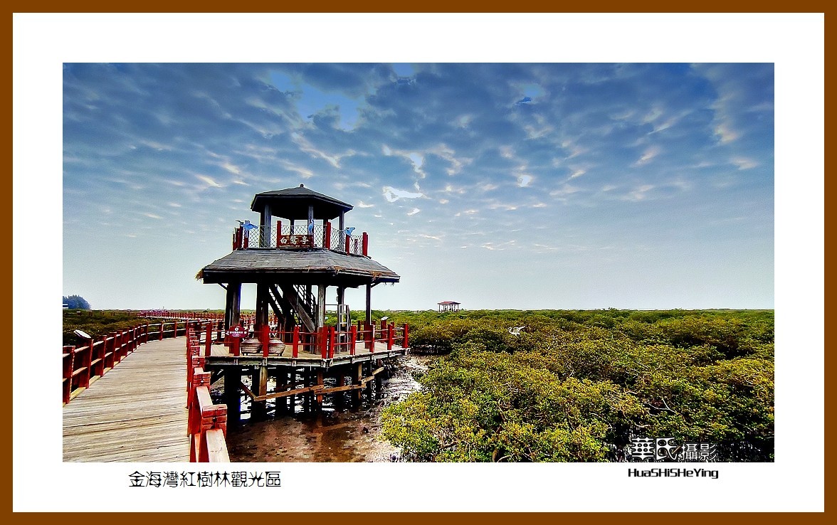 2021南行慢游（广西158）—金海湾红树林观光区（北海市）