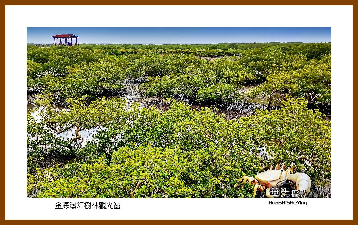 2021南行慢游（广西158）—金海湾红树林观光区（北海市）