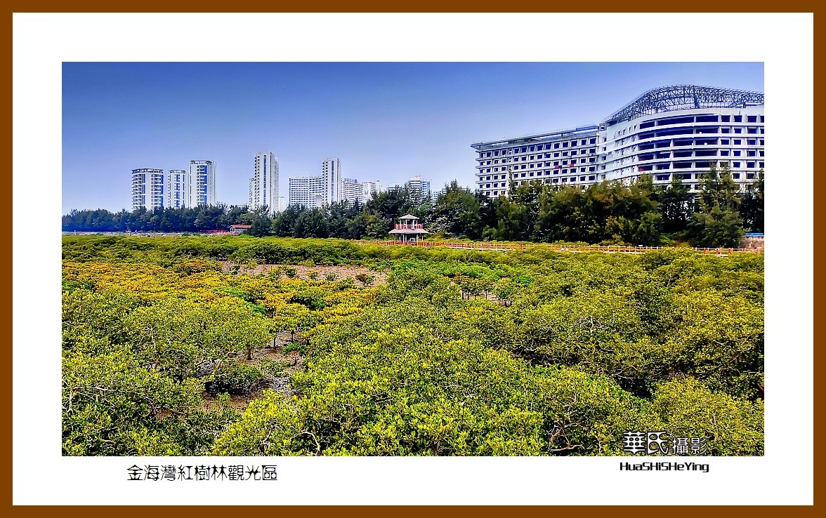 2021南行慢游（广西158）—金海湾红树林观光区（北海市）