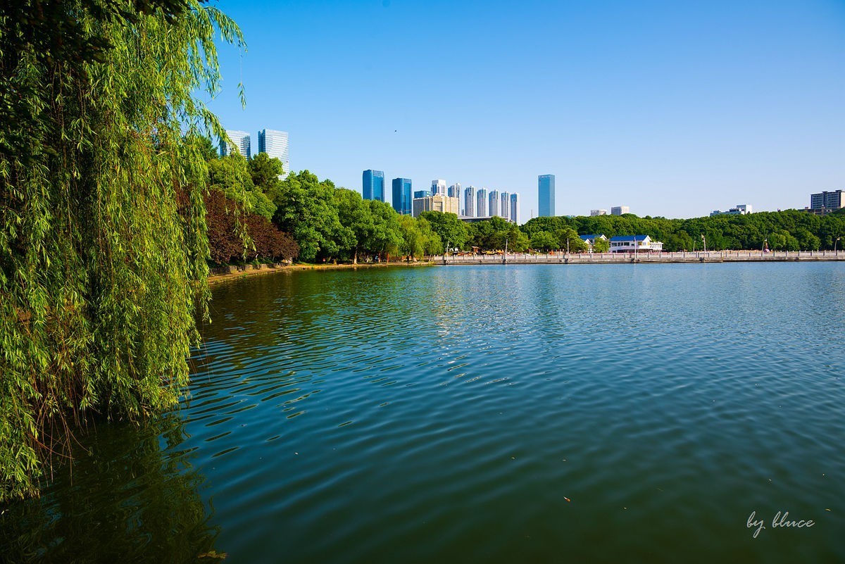 【长沙之行】年嘉湖掠影（上）