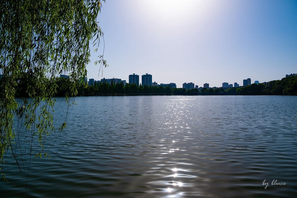 【长沙之行】年嘉湖掠影（上）