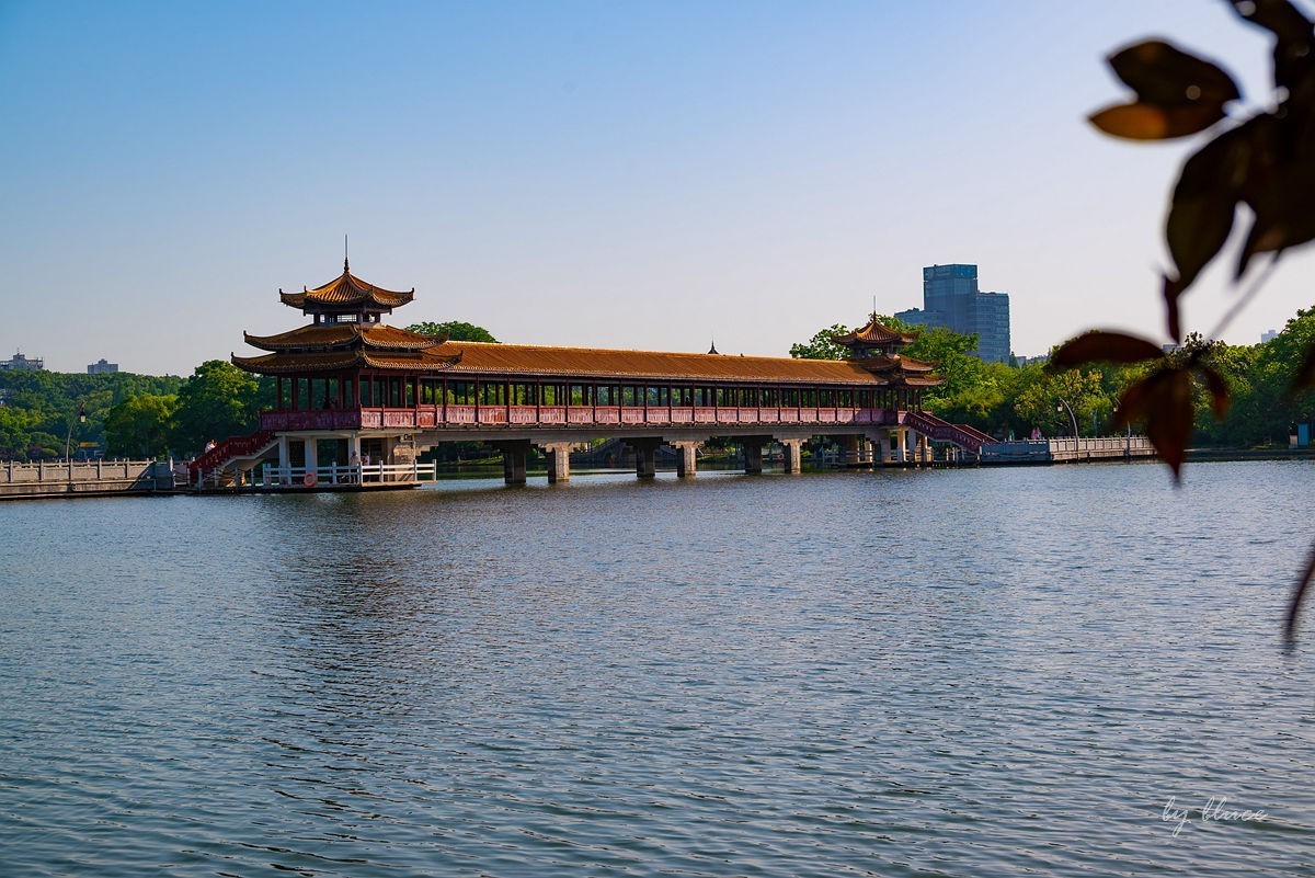 【长沙之行】年嘉湖掠影（上）