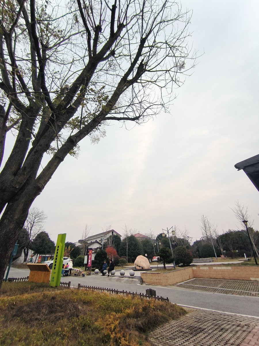 漫步星城 走街串巷（602）金洲村